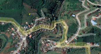  Plot For Resale in Avalanche Road Ooty 6280802
