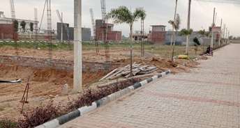  Plot For Resale in Panchkula Sector 11 Chandigarh 6280989