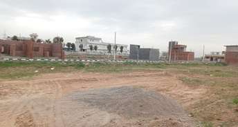  Plot For Resale in Panchkula Sector 12 Chandigarh 6281000