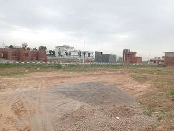  Plot For Resale in Panchkula Sector 15 Chandigarh 6281032