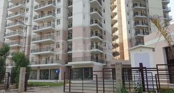 Commercial Shop 228 Sq.Ft. For Resale In Sector 76 Gurgaon 6281523
