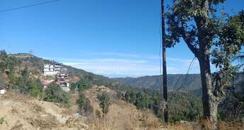  Plot For Resale in Bhimtal Nainital 6281603