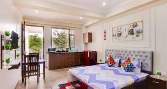 Studio Builder Floor For Rent in Dlf Phase I Gurgaon 6281824