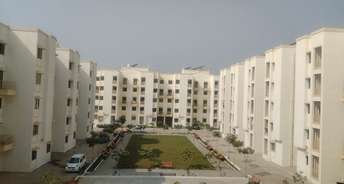 3 BHK Apartment For Rent in Peninsula Address One Phase 2 Gahunje Pune 6283076