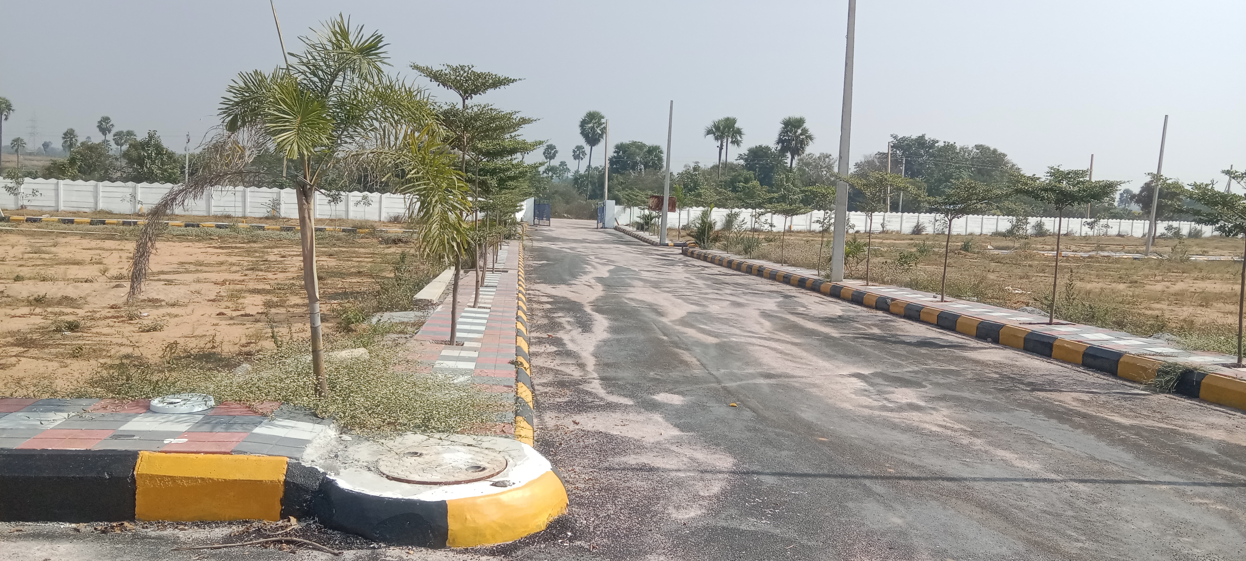 Plot For Resale in Pasumamula Hyderabad  6283582