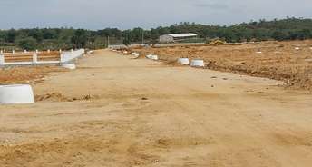  Plot For Resale in Yacharam Hyderabad 5874679