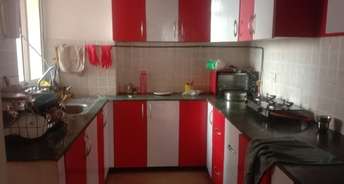 2 BHK Apartment For Rent in Jaypee Greens Pavilion Court Sector 128 Noida 6284428