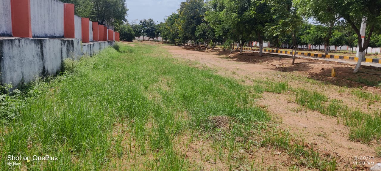 Plot For Resale in Kundanpally Hyderabad  6284995