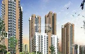 2 BHK Apartment For Rent in Pioneer Park Phase 1 Sector 61 Gurgaon 6285026