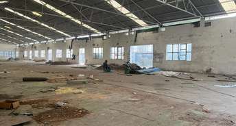 Commercial Warehouse 30000 Sq.Yd. For Rent In Sector 31 Faridabad 6285756