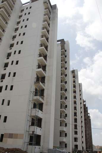 3 BHK Apartment For Resale in NK Sharma Savitry Greens Lohgarh Zirakpur 6285923