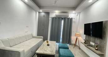 1 BHK Apartment For Rent in Panchsheel Greens II Noida Ext Sector 16 Greater Noida 6286196