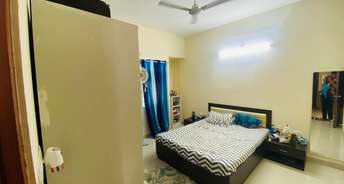 3 BHK Apartment For Rent in Zircon Ventures CHS Ltd Viman Nagar Pune 6286361
