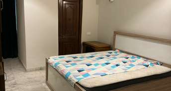 3 BHK Builder Floor For Rent in Hauz Khas Delhi 6286819