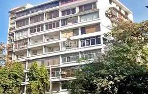 1 BHK Apartment For Resale in Sneha Sadan Apartment Colaba Mumbai 6287099