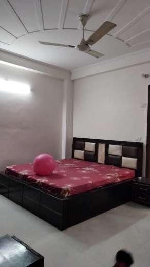 2.5 BHK Builder Floor For Rent in Sector 11 Gurgaon 6287216