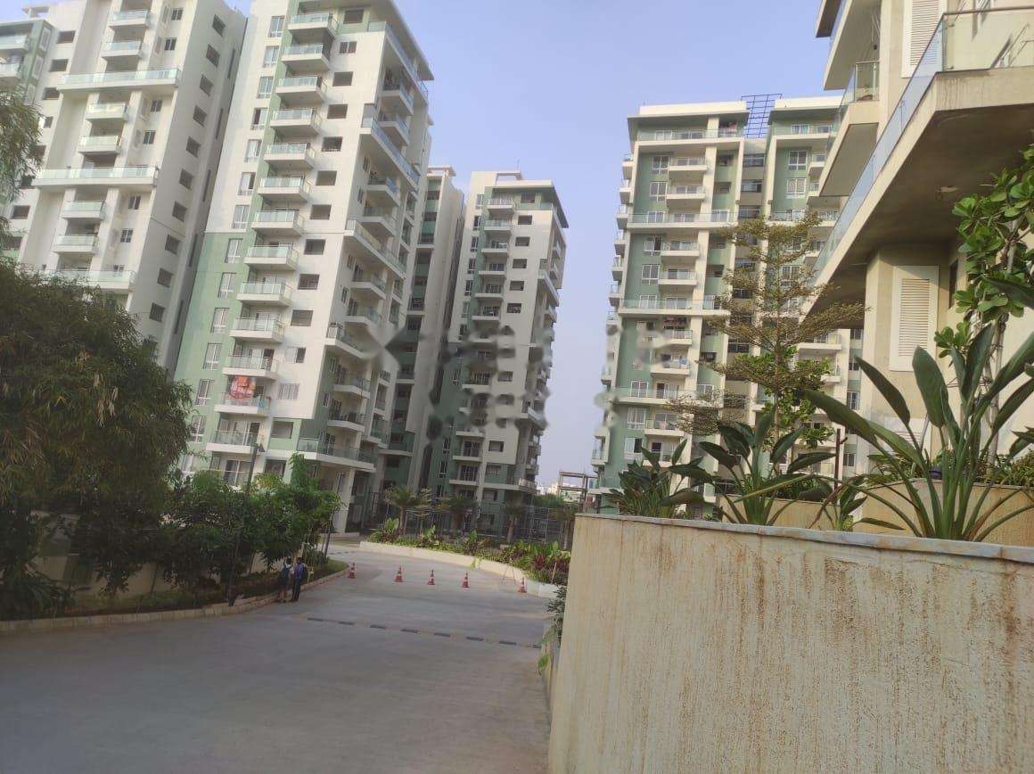 3 BHK Apartment For Rent in Shainwar Peth Pune 6287338
