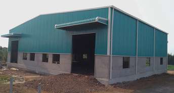 Commercial Warehouse 5000 Sq.Ft. For Rent In Bhosari Pune 6287383