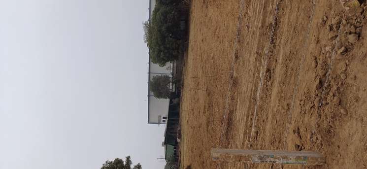 Commercial Industrial Plot 1700 Sq.Ft. in Sikri Faridabad