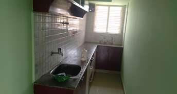 1 BHK Apartment For Rent in Whitefield Bangalore 6289037