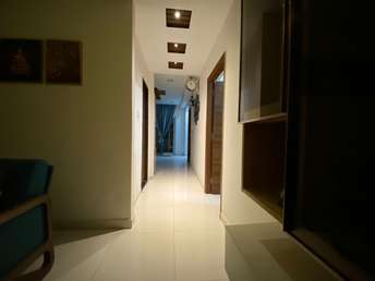3 BHK Apartment For Rent in My Home Mangala Kondapur Hyderabad 6289217