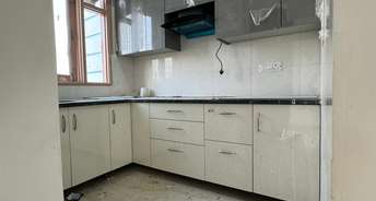 1 BHK Builder Floor For Rent in Kst Chattarpur Villas Chattarpur Delhi 6289787