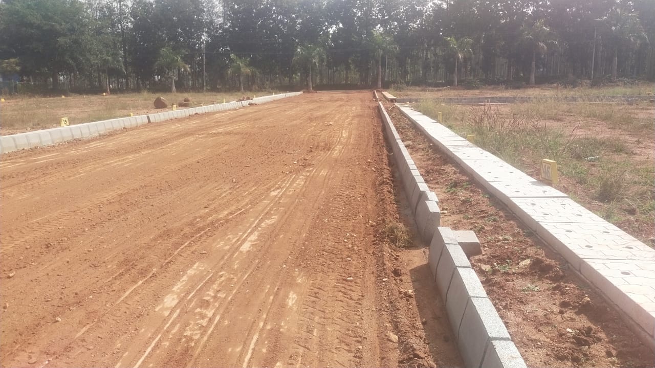 Plot For Resale in Nelamangala Bangalore  6289921