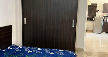 2 BHK Apartment For Rent in AVL 36 Gurgaon Sihi Gurgaon 6290122