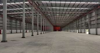 Commercial Warehouse 200000 Sq.Ft. For Rent In Palaspa Navi Mumbai 6290317