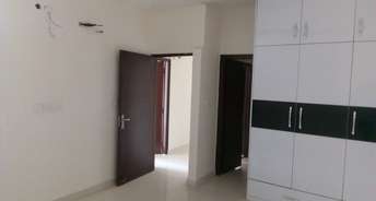 3 BHK Apartment For Rent in Mona Townships Greens 2 Ghazipur Zirakpur 6290321