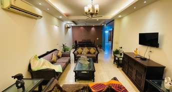 4 BHK Builder Floor For Rent in Saket Delhi 6290459