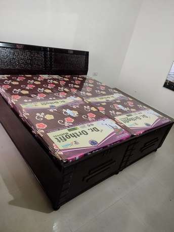 1 BHK Builder Floor For Rent in Kharar Mohali Road Kharar 6290614