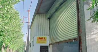 Commercial Warehouse 2200 Sq.Ft. For Rent In Aslamabad Hoshiarpur 6282953