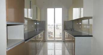 3 BHK Independent House For Rent in RWA Apartments Sector 41 Sector 41 Noida 6291261