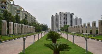 3 BHK Apartment For Resale in NK Sharma Savitry Greens Lohgarh Zirakpur 6291944