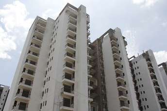 3.5 BHK Apartment For Resale in NK Sharma Savitry Greens Lohgarh Zirakpur 6291946