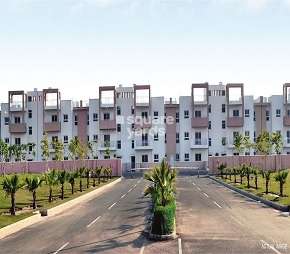 3 BHK Builder Floor For Rent in BPTP Park Elite Floors Sector 85 Faridabad 6292170
