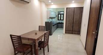 3 BHK Independent House For Rent in Gautam Nagar Delhi 6293142
