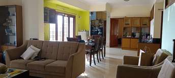 3 BHK Apartment For Resale in Jubilee Hills Hyderabad 6293550
