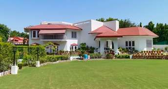 4 BHK Villa For Rent in Sainik Farm Delhi 6294036