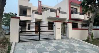 4 BHK Independent House For Rent in Phase 10 Mohali 6294546