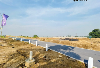  Plot For Resale in Sector 11 Panchkula 6295144