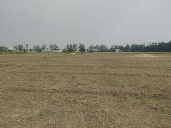 Plot For Resale in Selakui Dehradun  6295224