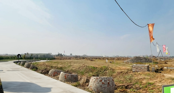  Plot For Resale in Sector 15 Panchkula 6295214