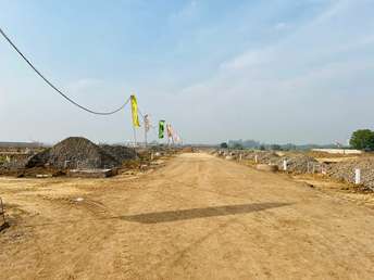  Plot For Resale in Sector 16 Panchkula 6295241