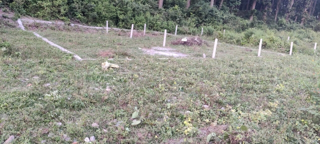 Plot For Resale in Prem Nagar Dehradun  6295483