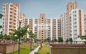 3 BHK Apartment For Rent in Puri Pratham Sector 84 Faridabad 6295821