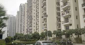 3 BHK Apartment For Resale in MGH Mulberry County Sector 70 Faridabad 6296142