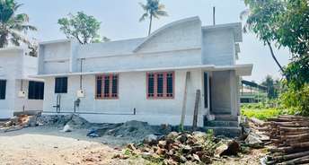 3 BHK Villa For Resale in Mannuthy Thrissur 6296076
