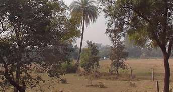 Commercial Land 7260 Sq.Yd. For Resale In Ratanpur Bhopal 6296528